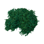 Spiruline